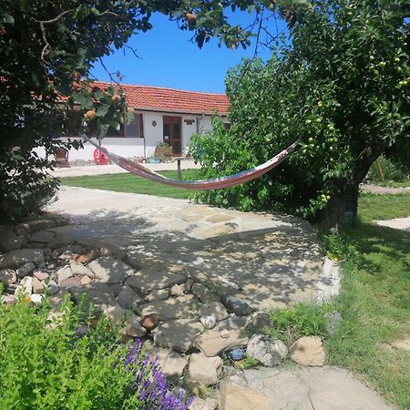 Calla Retreat Vezenkovo Ngoại thất bức ảnh