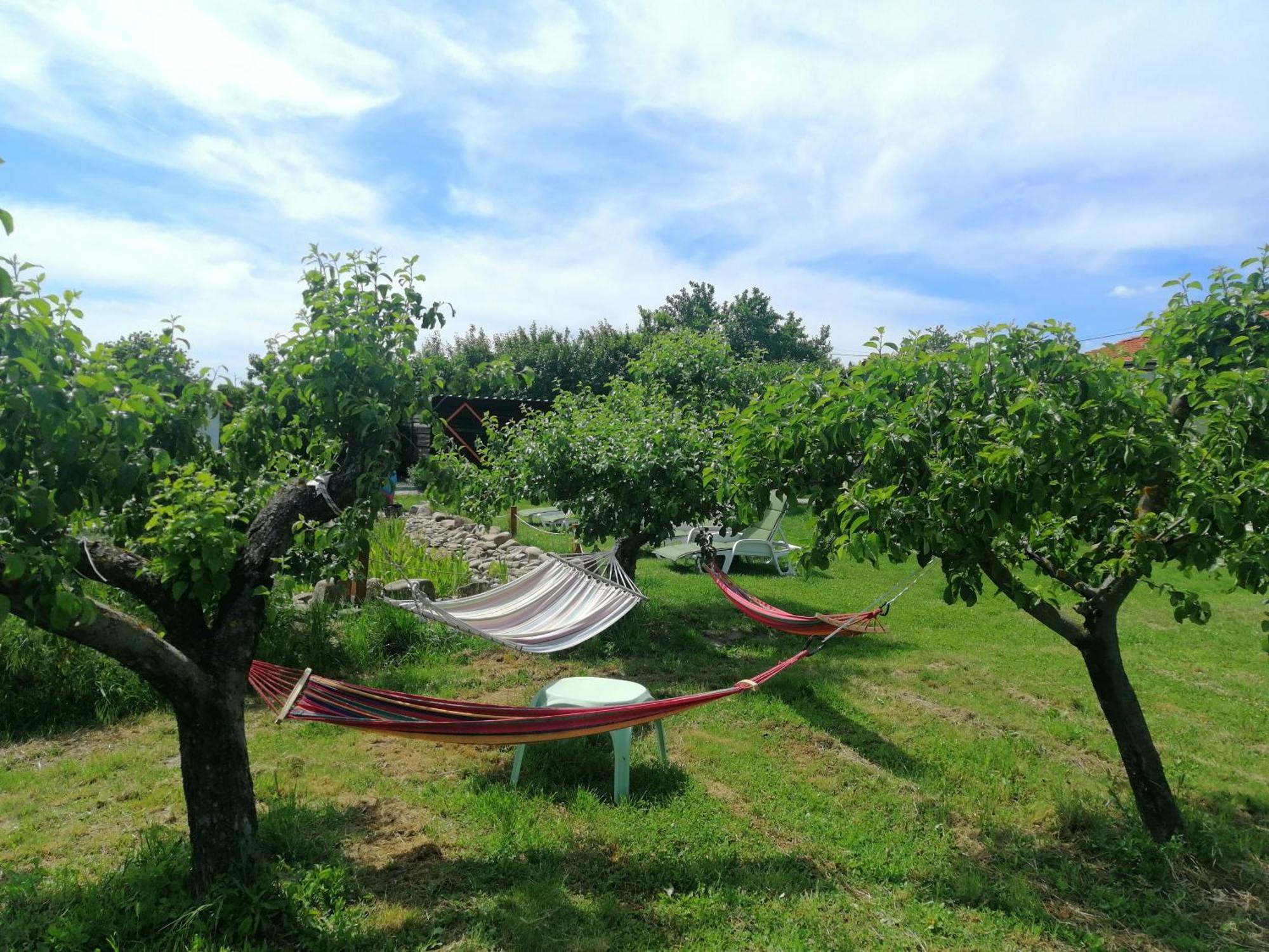 Calla Retreat Vezenkovo Ngoại thất bức ảnh